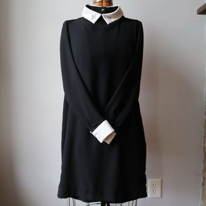 Alice In Wonderland Black and White Collared Dress